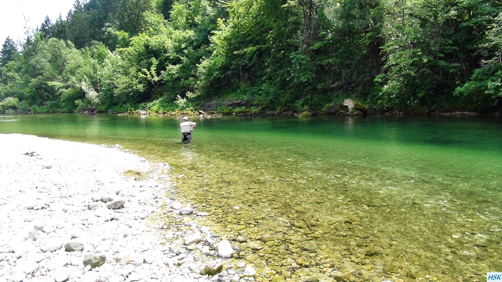 Fliegenfischen in der Sava Bohinjka im Juni 2015