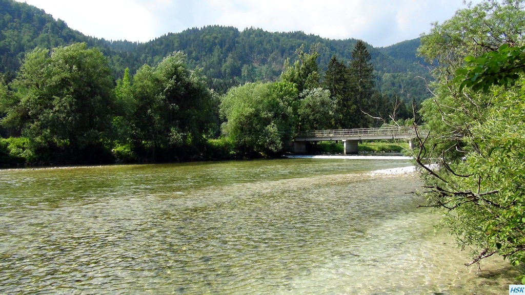 Fliegenfischen in der Sava Bohinjka im Juni 2015