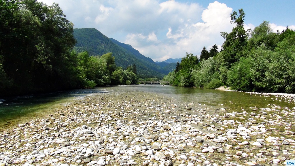 Fliegenfischen in der Sava Bohinjka im Juni 2015