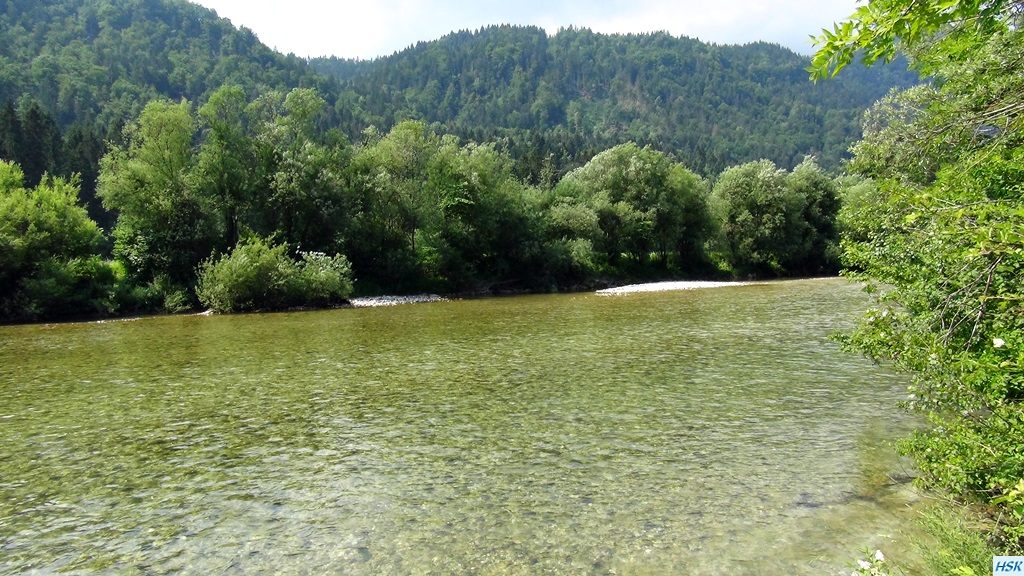 Fliegenfischen in der Sava Bohinjka im Juni 2015