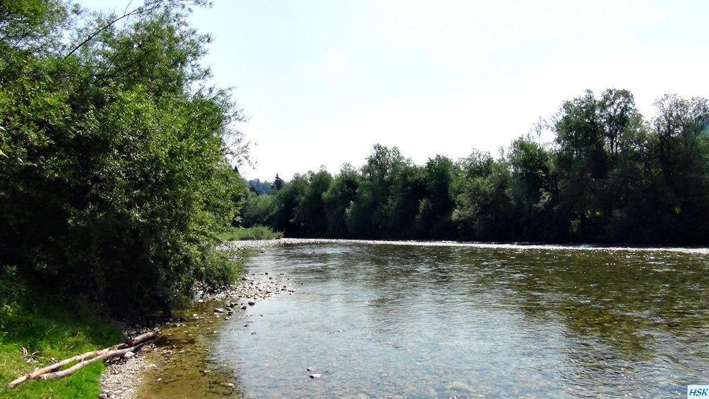 Fliegenfischen in der Sava Bohinjka im Juni 2015