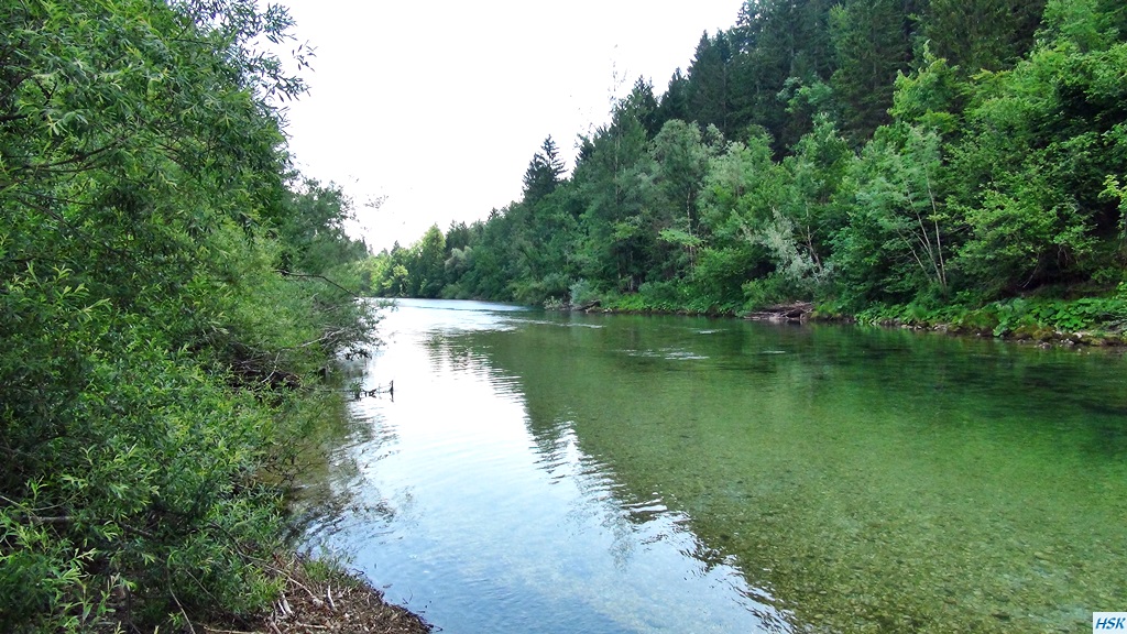 Fliegenfischen in der Sava Bohinjka im Juni 2015