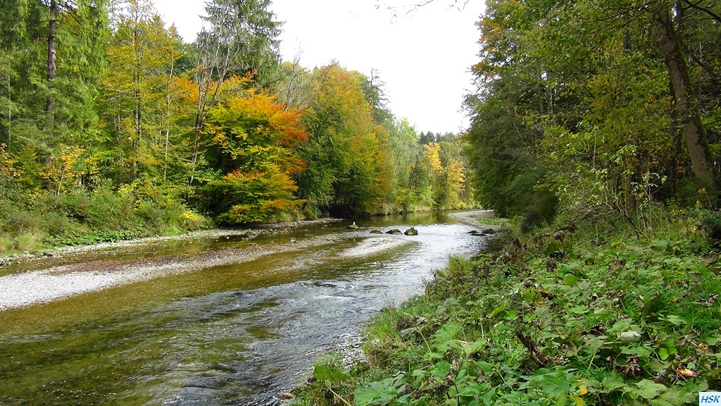 Fliegenfischen in der deutschen Traun, traditionelle Strecke