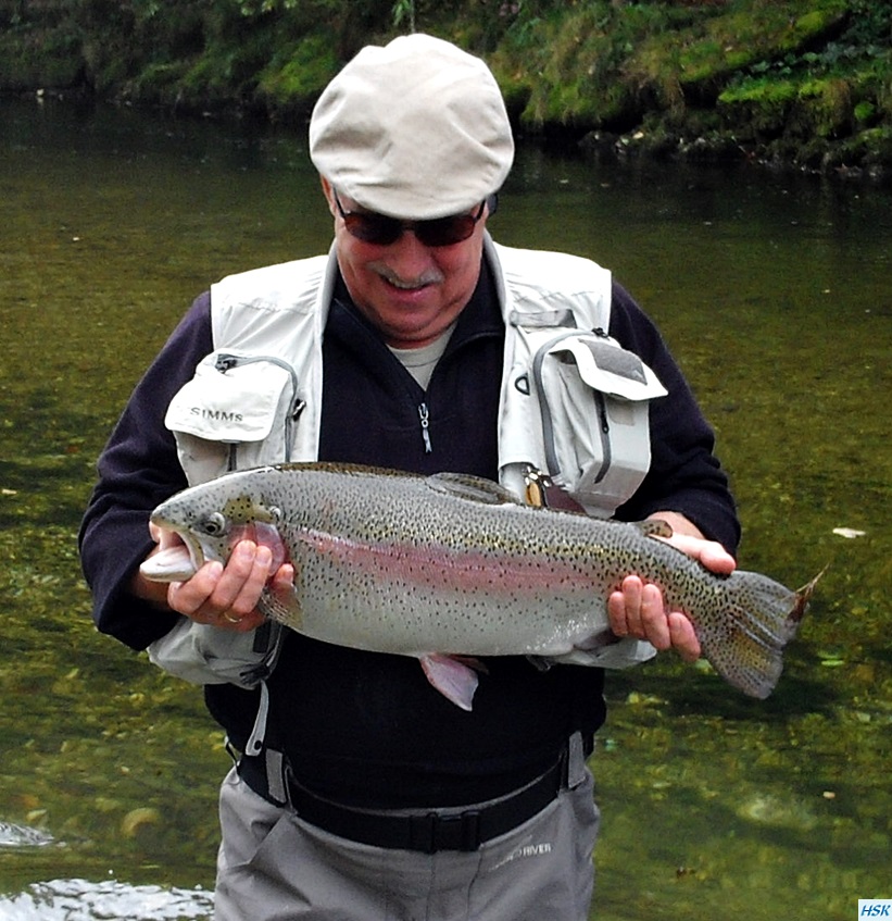 Fliegenfischen in der deutschen Traun, traditonelle Strecke